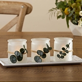 Kate Aspen 4-Piece Frosted Votive Candle Holders and Rustic Tray Set