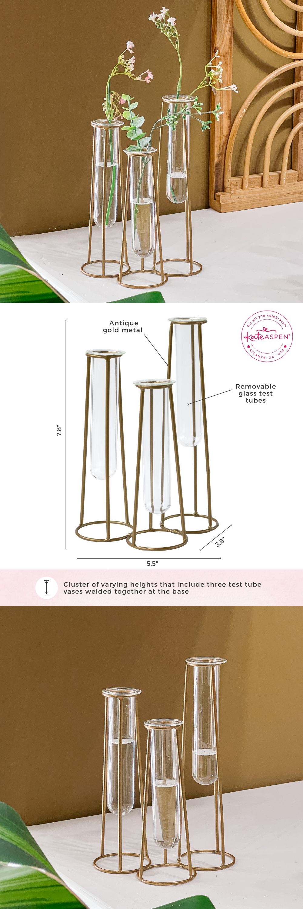 Kate Aspen Glass and Gold-Colored Metal Cluster of Three Test Tube Vases