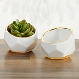 Kate Aspen Set of 2 Small Geometric Ceramic Planters w/ Gold Foil Rims