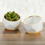 Kate Aspen Set of 2 Small Geometric Ceramic Planters with Gold Foil Rims