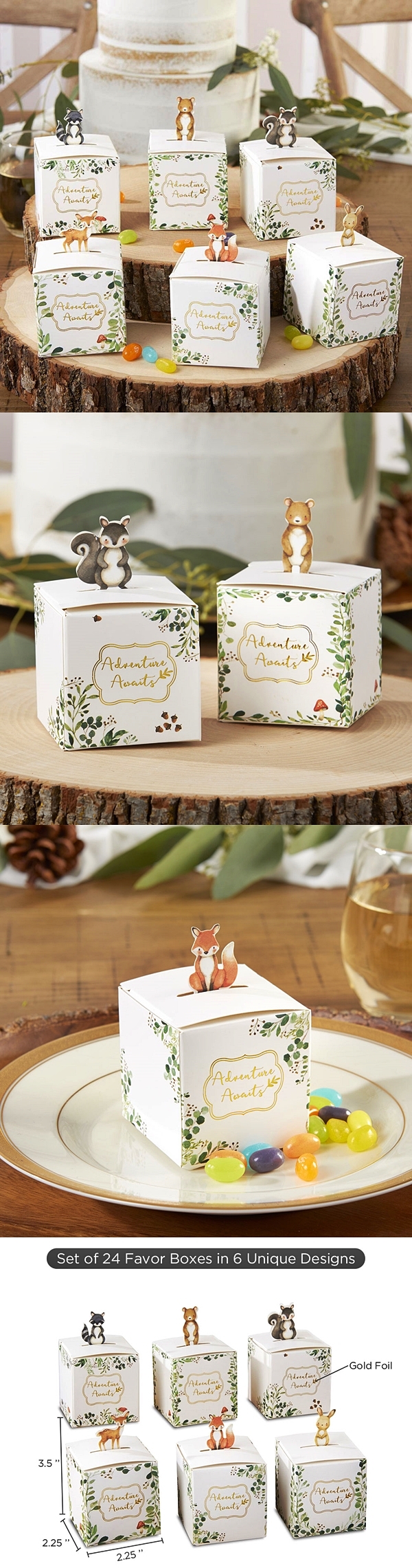 Kate Aspen Woodland Baby 'Adventure Awaits' Favor Boxes (Set of 24)