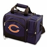 Officially-Licensed NFL Team Logo Malibu Picnic Tote