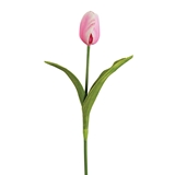 CTW Home Collection Artificial Tulip Flower Picks (Box of 2)