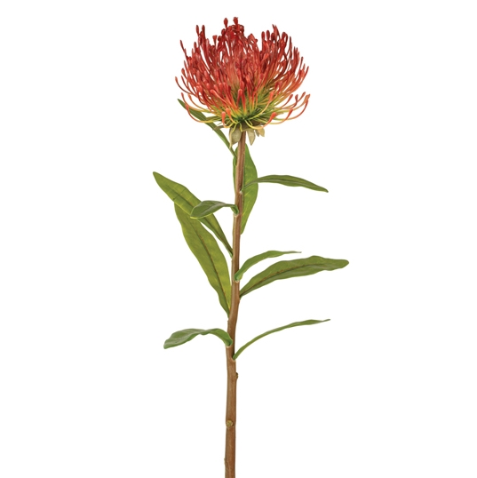 CTW Home Collection Box of 2 Artificial Protea Pincushion Flower Picks