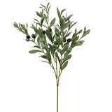 CTW Home Collection Faux Olive Branch