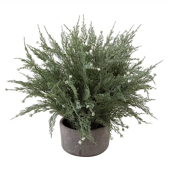 CTW Home Collection Faux Cypress Tree Plant in Stoneware Pot