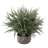 CTW Home Collection Faux Cypress Tree Plant in Stoneware Pot