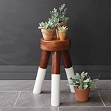 CTW Home Collection White Dip-Dyed Wood Plant Display Stool