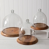CTW Home Collection Bell-Shaped Glass Cloche with Wood Base (3 Sizes)