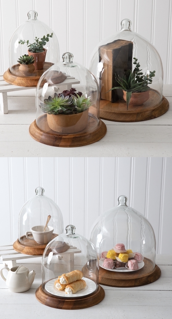 CTW Home Collection Bell-Shaped Glass Cloche with Wood Base (3 Sizes)