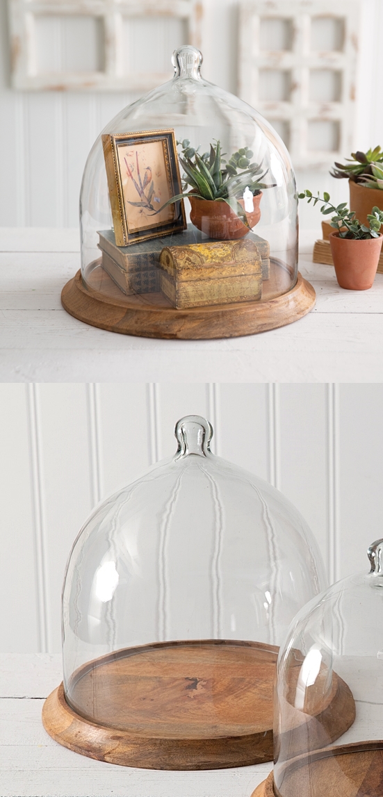 CTW Home Collection Large Bell-Shaped Glass Cloche with Wood Base