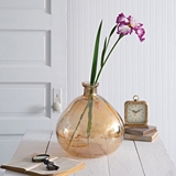 CTW Home Collection Handblown Champagne-Colored Balloon-Shaped Vase