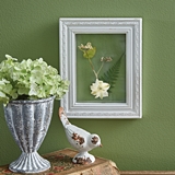 CTW Home Collection Framed Pressed Botanical Wall Decor - Buckwheat & Larkspur