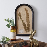 CTW Home Collection Framed Pressed Boston Fern Botanical Wall Decor