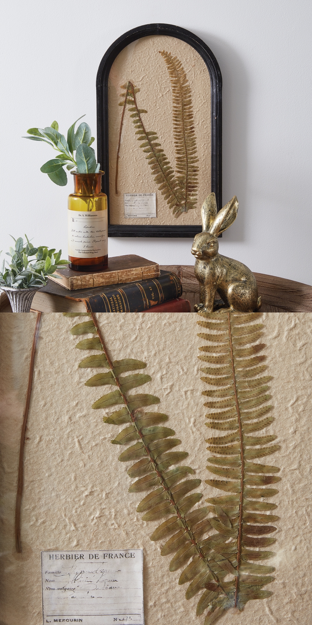 CTW Home Collection Framed Pressed Boston Fern Botanical Wall Decor