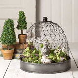 CTW Home Collection French Country Chicken-Wire Cloche with Metal Tray