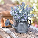 CTW Home Collection Mini Metal Watering Can or Planter (Box of 2)