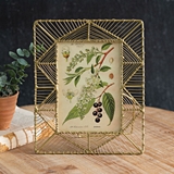 CTW Home Collection 'Tahiti' Woven Gold-Finish Wire 5x7 Picture Frame