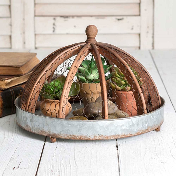 CTW Home Collection Wood-Framed Chicken-Wire Cloche with Round Tray