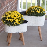 CTW Home Collection Embossed Whitewashed-Metal Planters with Wood Legs