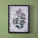 CTW Home Collection Botanical Olive Branch Print Wall Decor