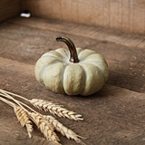 CTW Home Collection Small Beige-Resin Autumn Heirloom Pumpkin