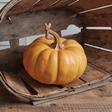CTW Home Collection Heirloom Resin Pumpkin with Long Stem