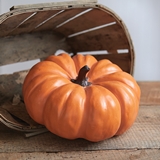 CTW Home Collection Fairytale Resin Pumpkin