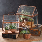CTW Home Collection Set of Two Copper-Finish-Metal & Glass Terrariums