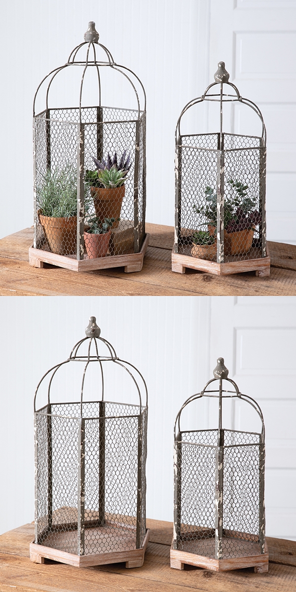 CTW Home Collection Set of Two Birdcage-Shaped Chicken-Wire Cloches