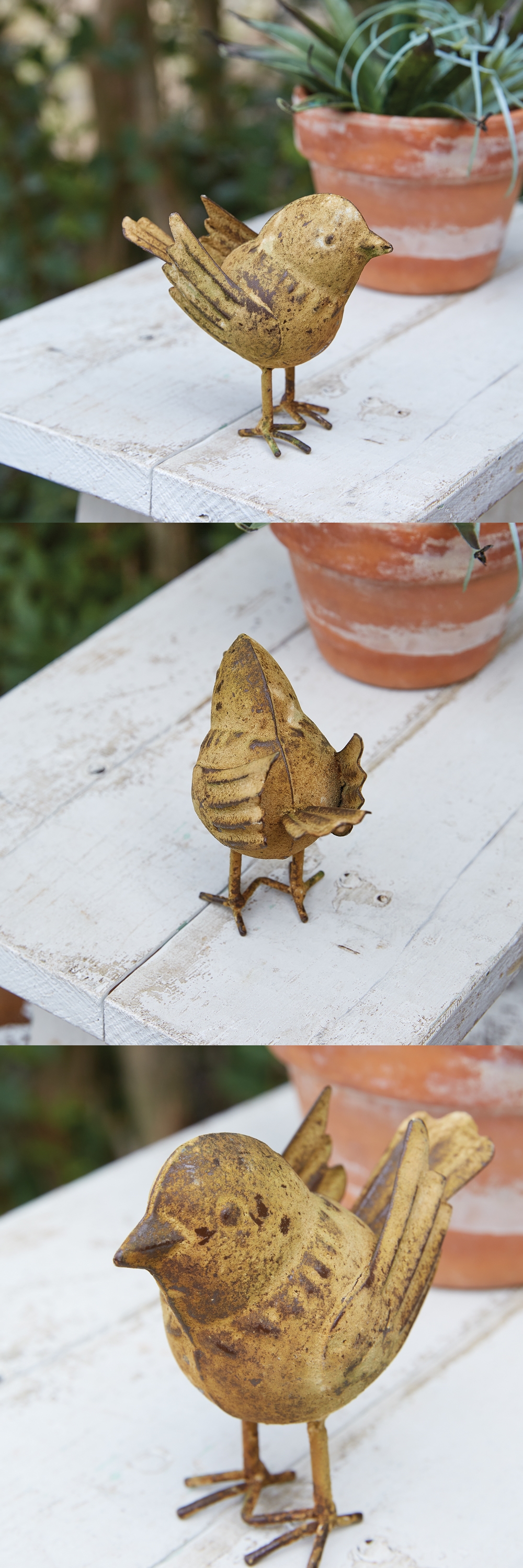 CTW Home Collection 'Thornehill' Bird Figurines with Rust-Finish (Box of 4)