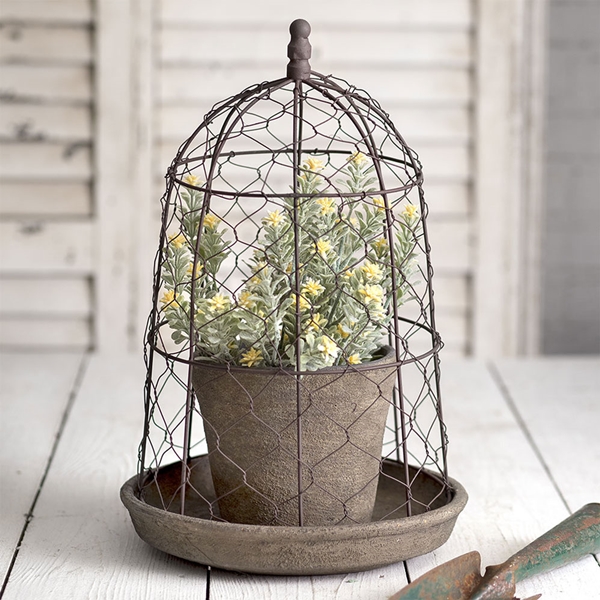 CTW Home Collection Chicken Wire Cloche with Terra Cotta Pot & Saucer