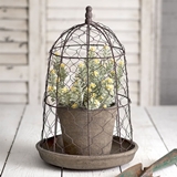 CTW Home Collection Chicken Wire Cloche with Terra Cotta Pot & Saucer