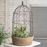 CTW Home Collection Tall Chicken Wire Cloche with Terra Cotta Pot