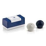 Weddingstar 'Sandy Toes & Salty Kisses' Seashell Salt & Pepper Shakers