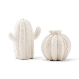 Weddingstar White Porcelain Cactus Salt & Pepper Shakers (Set of 2)