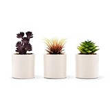 Weddingstar Small Faux Succulent Plants (Set of 6)