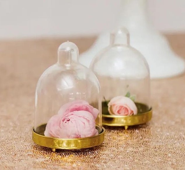 Small Clear Plastic Dome with Gold Bottom Favor Containers (Set of 2)