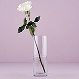 Weddingstar Personalizable Glass Cylinder Centerpiece