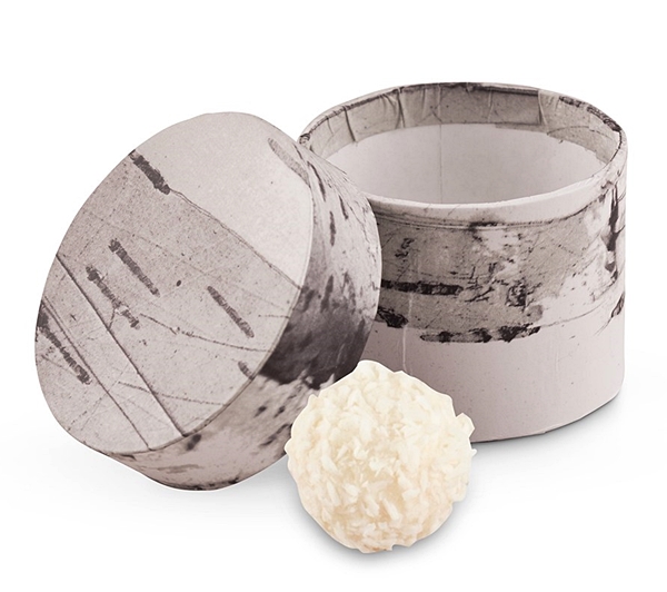 Weddingstar Woodsy Birch Bark Print Favor Boxes (Set of 6)