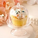 Perfectly Plain Collection Clear Acrylic Domed Cupcake Stand