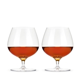 Raye Lead-Free Crystal 17oz Wingback Brandy Glasses by VISKI (Set of 4)