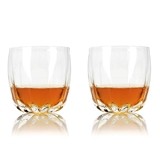 Raye: Crystal Cactus Tumblers by VISKI (Set of 2)