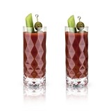 Raye: Gem Faceted Crystal Highball Glasses by VISKI (Set of 2)