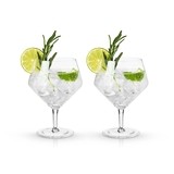 Raye: Lead-Free Crystal Gin & Tonic Glasses by VISKI (Set of 2)