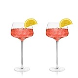 Raye: Lead-Free Crystal Amaro Spritz Glasses by VISKI (Set of 2)