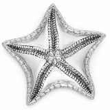 Arthur Court Coastal Elegance Theme Pewter Starfish Catchall Dish